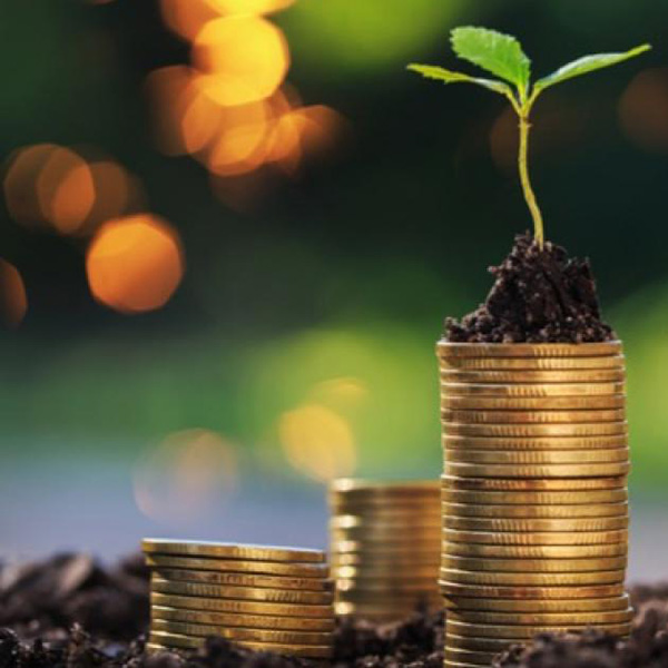 Optimiser les ressources<br>Gérer le patrimoine